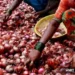Govt extends ban on onion exports till further orders