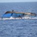 Fisher dies after boat capsizes in Walur