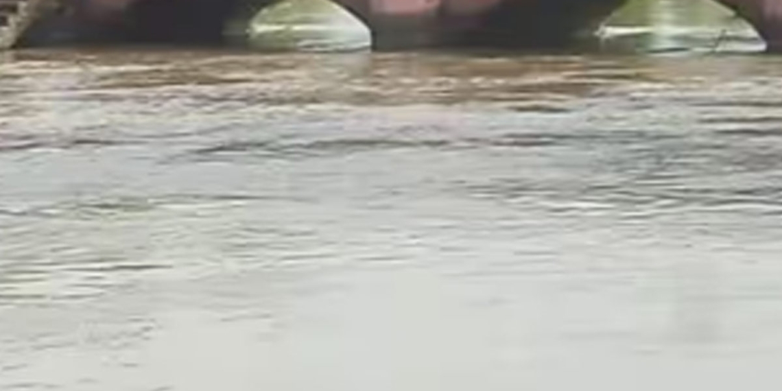 Teen Slips, Falls Into Canal While Making Reels, Body Not Found