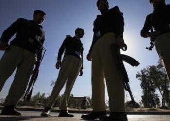 Man Involved In Several Crimes Surrenders Before Police In Srinagar: Police
