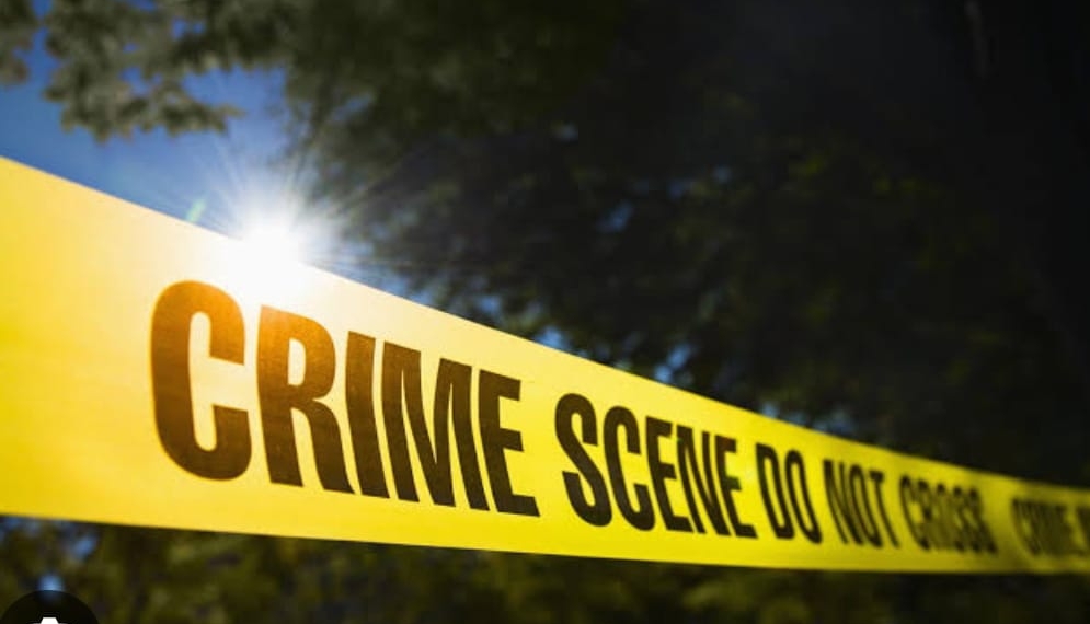 Girl kills father, brother for opposing relationship in MP