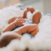 Seven newborns die in fire at…