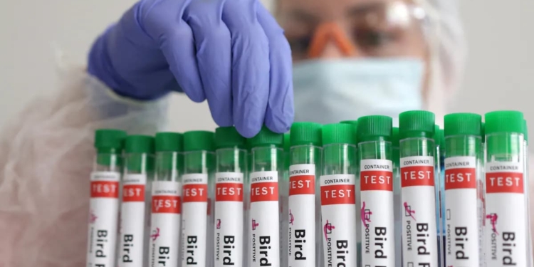 4-Year-Old Girl Tests Positive For Bird Flu In…