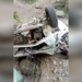 3 people killed, 3 injured in Road accident at UT J&K