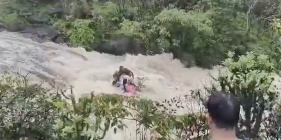 Picnic Turns Tragic In…