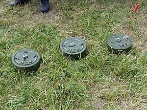 Rusted Mine Found, Destroyed Along LoC In Poonch