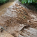 Heavy rains cause flash floods in north Kashmir’s Bandipora; crops damaged