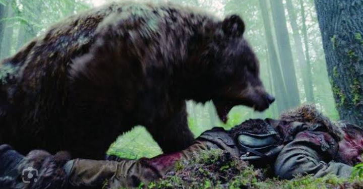 Man Injured in Bear Attack in UT J&K Hospitalised