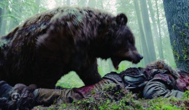 Man Injured in Bear Attack in UT J&K Hospitalised