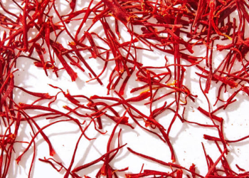 North Kashmir farmer breaks new ground with first-ever saffron cultivation