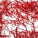 North Kashmir farmer breaks new ground with first-ever saffron cultivation