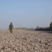 Italian tourist detained for questioning in J&K
