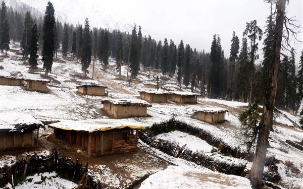 Snowfall in Kashmir’s Upper Areas, Met Predicts Wet Weather in Valley