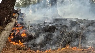Massive forest fires engulf J-K’s Bhaderwah valley, admin issues advisory as AQI reaches 53