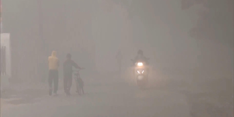 Dense Fog Envelops North India, Over 150 Flights Delayed In Delhi
