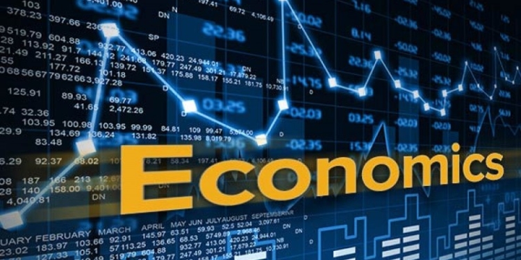 Economic Survey 2024-25 highlights significant healthcare advancements in Jammu and Kashmir