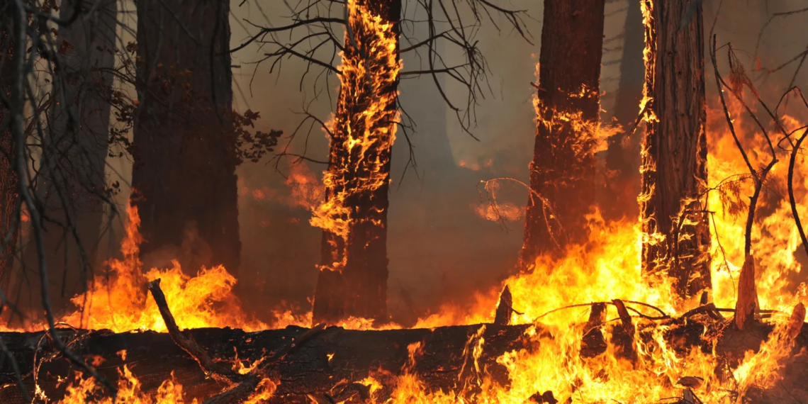 12,000 homes destroyed in…