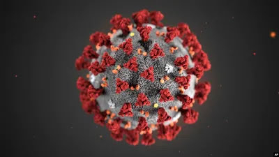 China plays down reports of huge flu outbreak