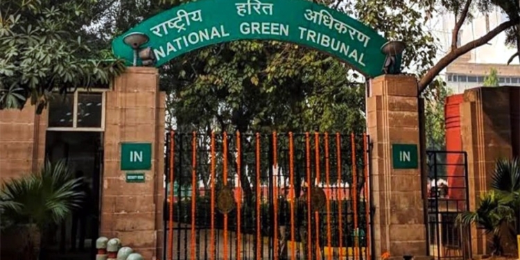 NGT orders on-spot waste assessment in Srinagar, Budgam