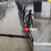 Dalgate Bridge Shows Signs of Structural Distress, Immediate Inspection Needed