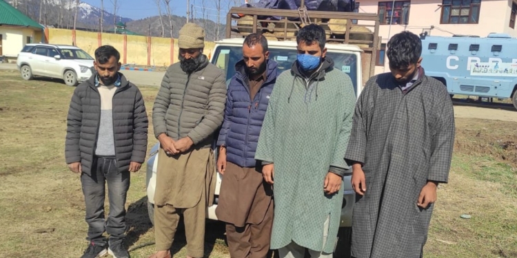 Five Arrested as Police Solve Poplar Tree Theft Case in South Kashmir