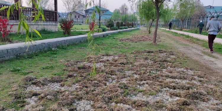 Joggers Park in Raj Bagh Defaced by Stray Dogs, Floriculture Dept Silent
