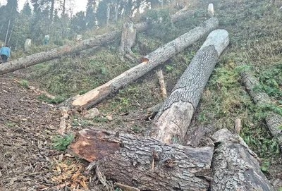 Girl killed, father injured as tree falls on tent during gusty winds in…..