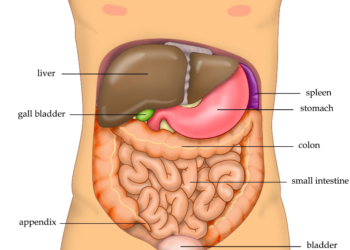 3 worst foods to avoid to protect the liver