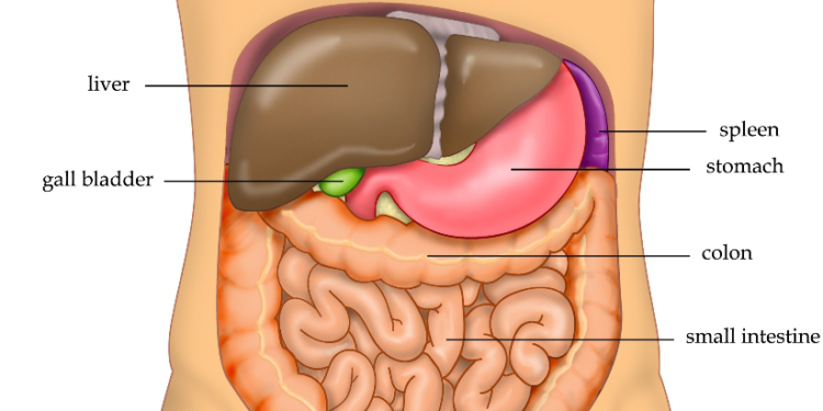 3 worst foods to avoid to protect the liver