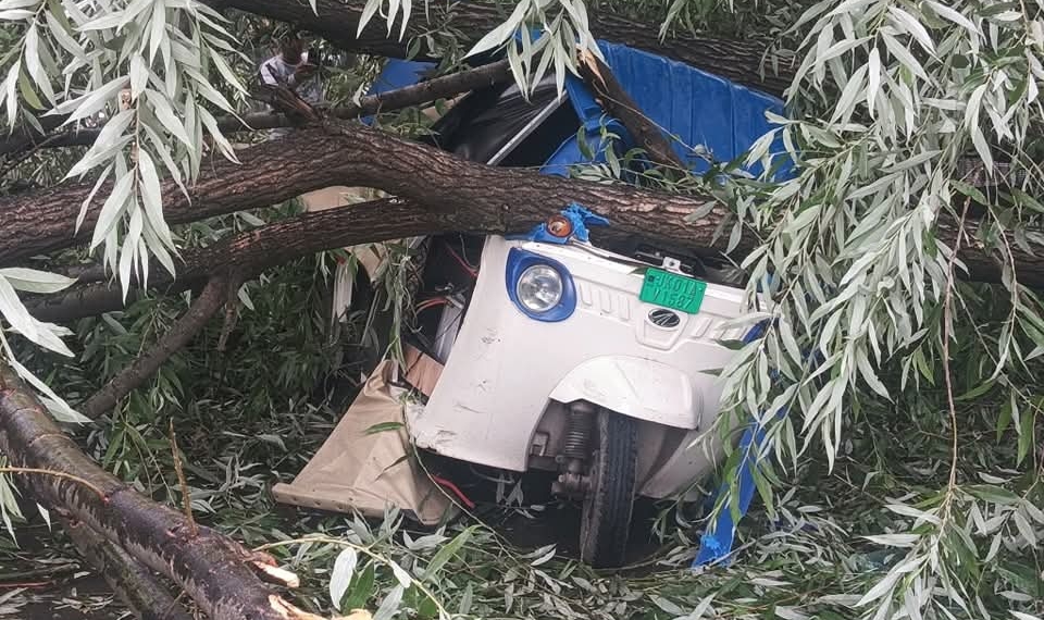 Three injured as tree uproots amid Gusty Winds in Sonwar, Srinagar