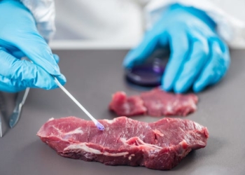 J&K hotels body seeks strict testing of frozen meat at Lakhanpur entry point