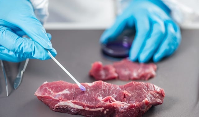 J&K hotels body seeks strict testing of frozen meat at Lakhanpur entry point