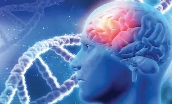 More than 1 in 3 people worldwide live with brain disorders, 11 million die annually. Report