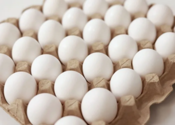 Adulterated Egg Row: Teams deployed for sample collection, Says Food Safety Dept
