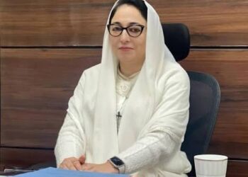 Statehood Won’t Return Through Jantar Mantar Protest, Says Darakhshan Andrabi